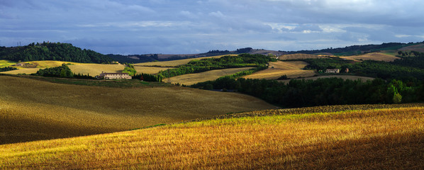 Tuscany Field Panorama