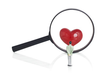 Figure man looking red heart through the magnifying glass