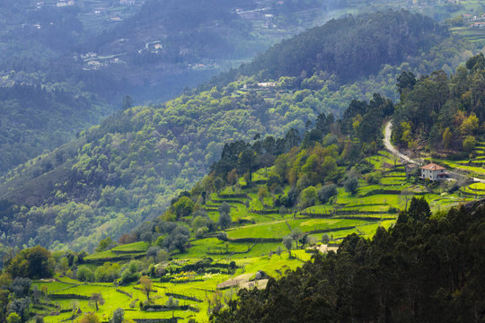 Terraced fields, Peneda Geres National Park, the only national park in Portugal, Norte Region, Portugal