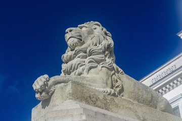 Obraz premium Guarding Lion at the Museum