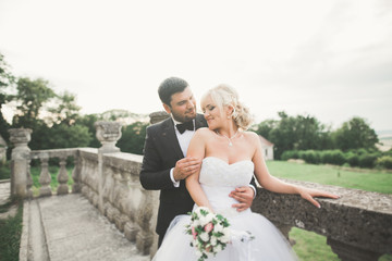 Beautiful romantic wedding couple of newlyweds hugging near old castle