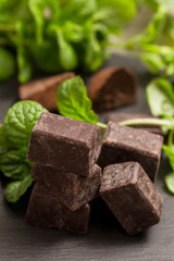 dark chocolates squares flavored with mint