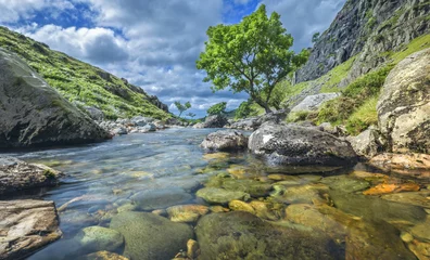 Foto auf Acrylglas Crystal Clear Water of Mountain Spring in North Wales © Eddie Cloud