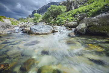 Naklejka na ściany i meble Fresh Clear Water of Mountain Creek in North Wales