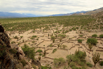 Amaicha del Valle, Ruinas de los Quilmes, Tucumán, Argentina