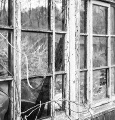 Broken Window on an old abandoned House - Rural Decay