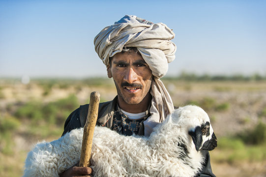 A Kuchi shepherd near Herat in Afghanistan returns a lost lamb back to its flock, Afghanistan