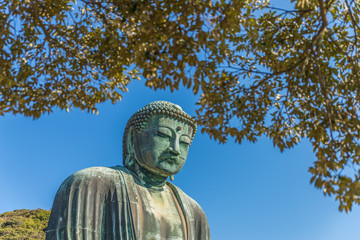 The Great Buddha in Kamakura