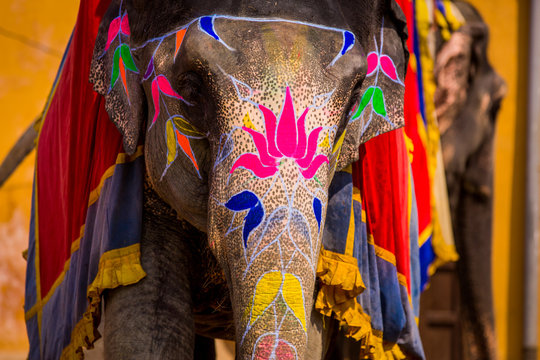 Painted elephant, Amer Fort, Jaipur, Rajasthan