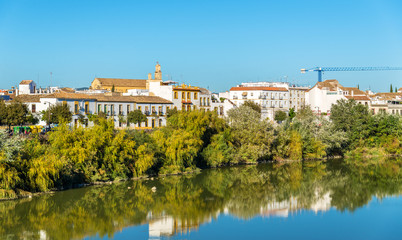 Fototapeta na wymiar Cordoba city above the Guadalquivir river in Spain