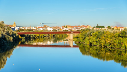 Fototapeta na wymiar The Guadalquivir river in Cordoba, Spain