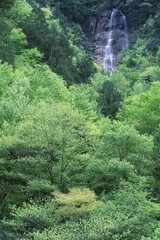 Fototapeta premium 雨現の滝
