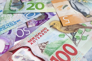 New Zealand money - 130460172