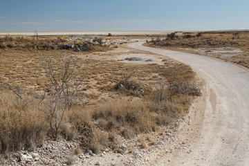 Etosha Safari Park in Namibia