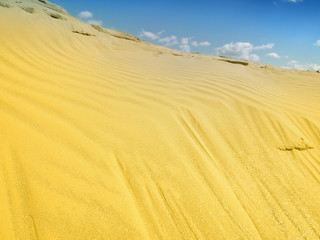 sand desert