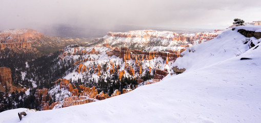 Fresh Snow Blankets Bryce Canyon Rock Formations Utah USA