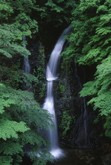 修験の滝