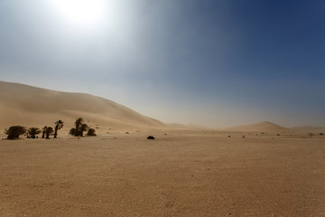 Fototapeta na wymiar Dune Seven in Namibia, Africa