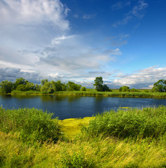peat bog - the national park
