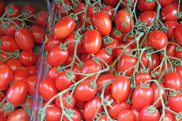Fresh tomatoes