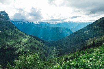 Fototapeta na wymiar Beautiful view of Glacier National Park belong Going to the sun road