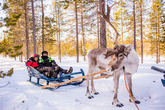 Couple on Reindeer Safari, Kakslauttanen Igloo Village, Saariselka, Finland