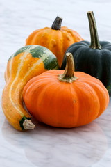 organic summer squash