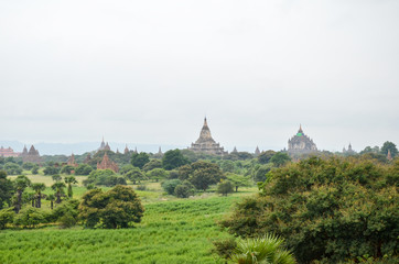 Temples and pagodas in the Bagan plains, Myanmar