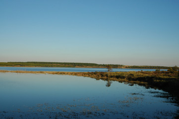 Still Lake Under a Blue Sky in Central Florida