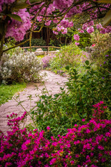 Stony pathway in a Rookery public park Rookery in Streatham Common in London in spring