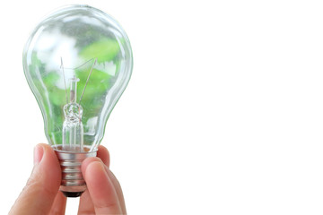 bulb on green energy concept.
