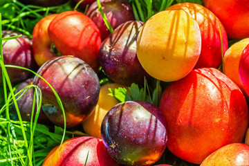 Ripe fruit on the grass in the garden. Peaches, plums