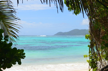 A glimpse at the beach from tropical jungles
