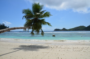 Seychelles vacation