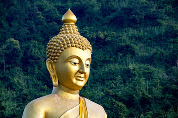 Buddha Which