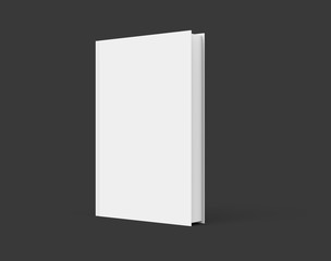 3D rendering book mockup