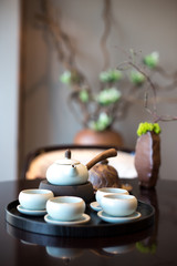 Fototapeta na wymiar elegant chinese tea set on plate