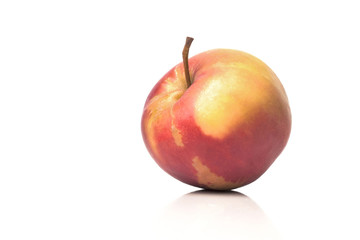 one gorgeous ripe sweet apple