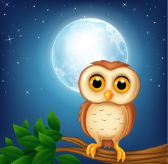 Cartoon owl on the tree branch

