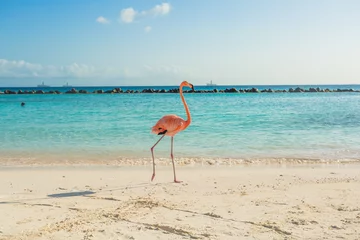 Fotobehang Een flamingo op het strand © PhotoSerg