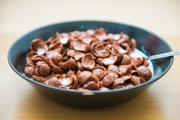 cereals chocolate with fresh milk