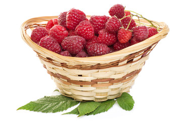ripe raspberries in basket with mint on white