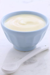 vintage plain yogurt
