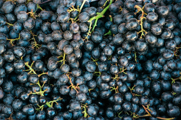 Fresh red grapes isolated on white background...