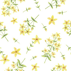 Watercolor vector seamless pattern with St Johns wort flowers and branches.