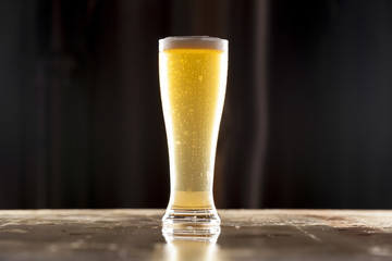 Tall Pilsner Lager Beer Centered
