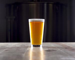 Pint of Lager Ale Beer