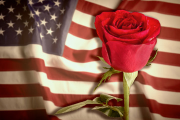Rose on USA flag background. Symbol of America