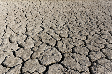 Cracked soil surface of dried lake