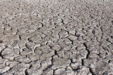Cracked grey soil surface of dried pond